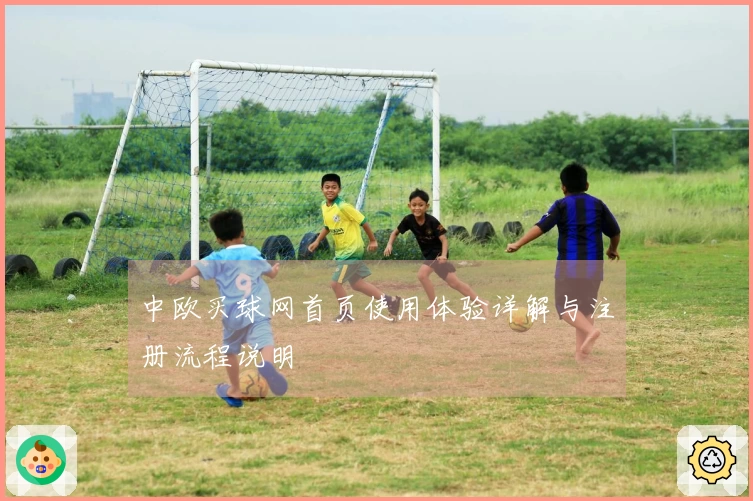 中欧买球网首页使用体验详解与注册流程说明