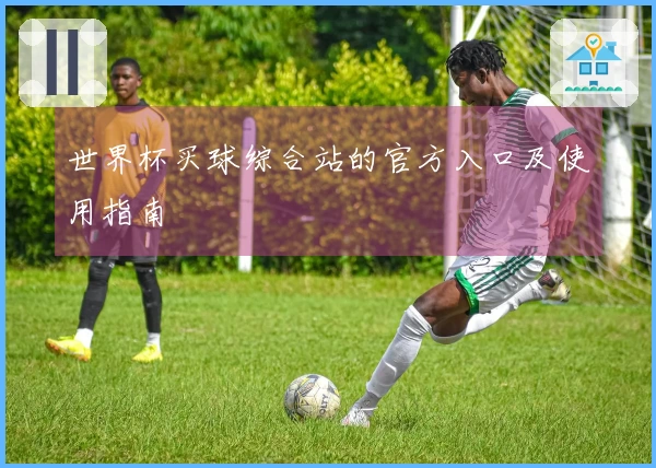 世界杯买球综合站的官方入口及使用指南