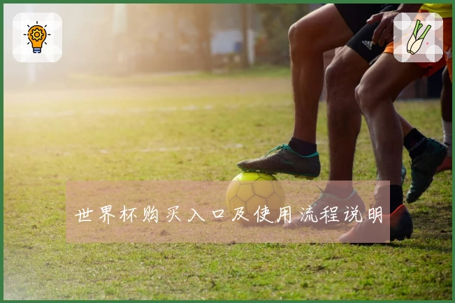 世界杯购买入口及使用流程说明