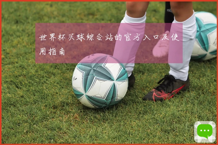 世界杯买球综合站的官方入口及使用指南