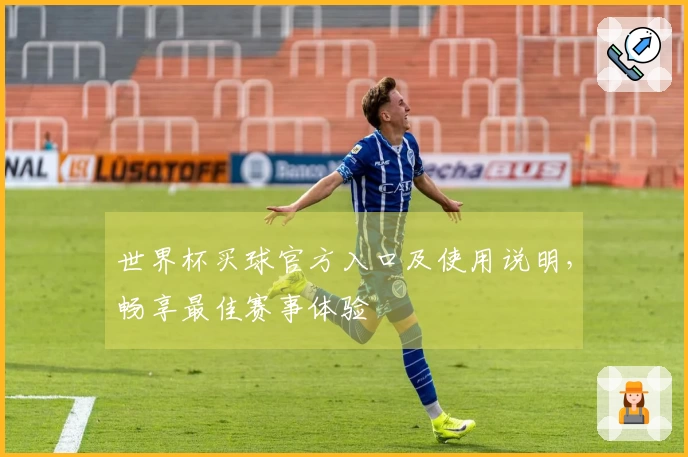 世界杯买球官方入口及使用说明，畅享最佳赛事体验