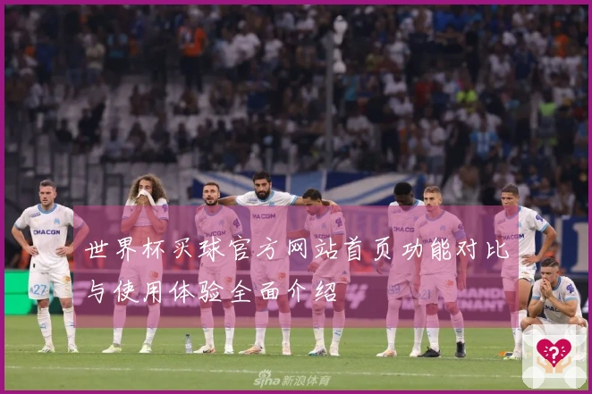 世界杯买球官方网站首页功能对比与使用体验全面介绍