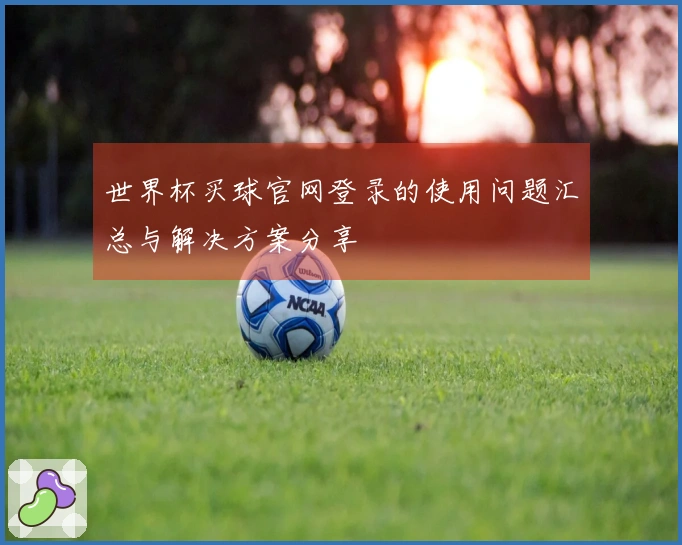 世界杯买球官网登录的使用问题汇总与解决方案分享