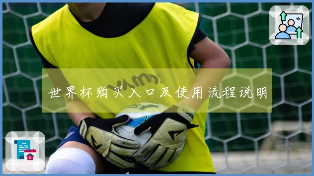 世界杯购买入口及使用流程说明