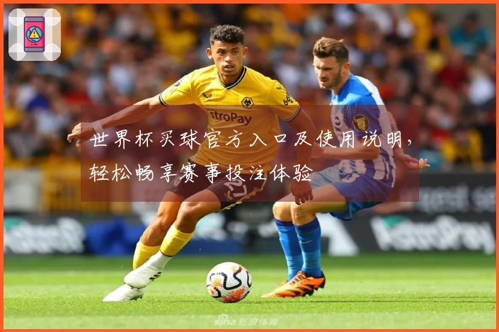 世界杯买球官方入口及使用说明，轻松畅享赛事投注体验