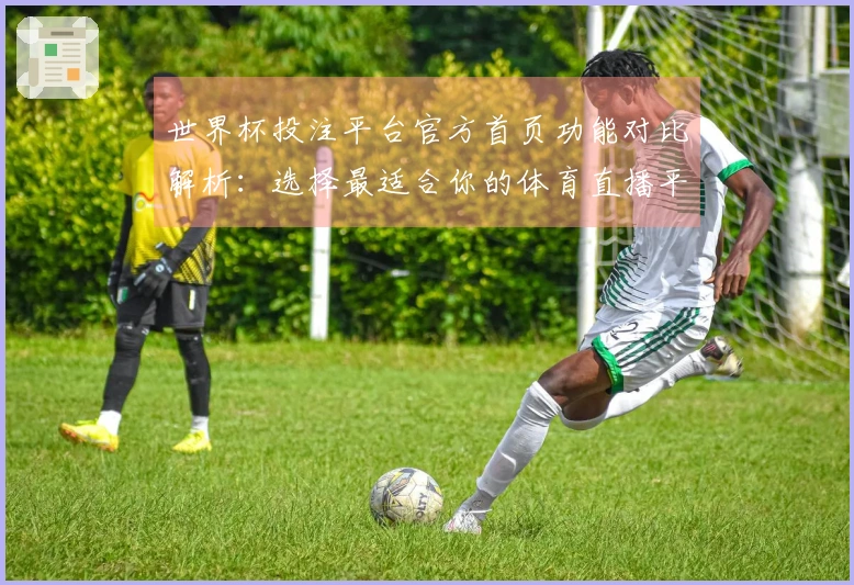 世界杯投注平台官方首页功能对比解析：选择最适合你的体育直播平台
