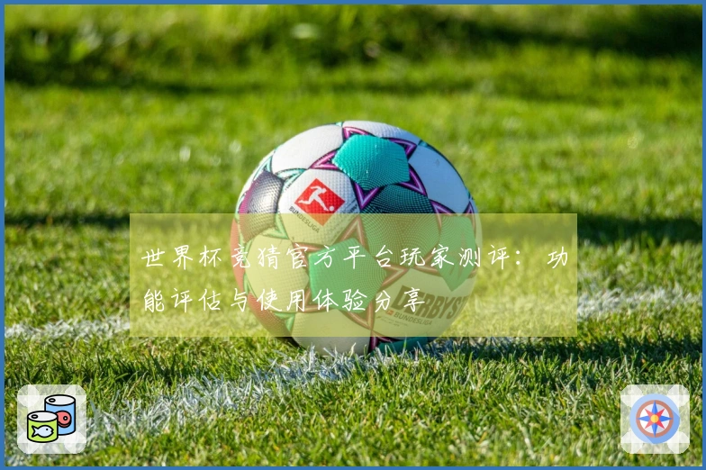 世界杯竞猜官方平台玩家测评：功能评估与使用体验分享