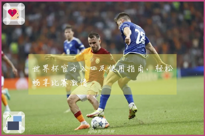 世界杯官方入口及使用指南，轻松畅享比赛激情