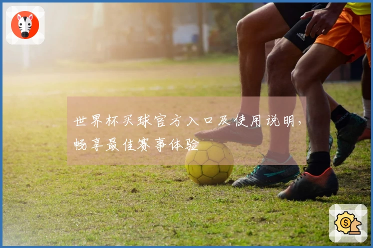 世界杯买球官方入口及使用说明，畅享最佳赛事体验